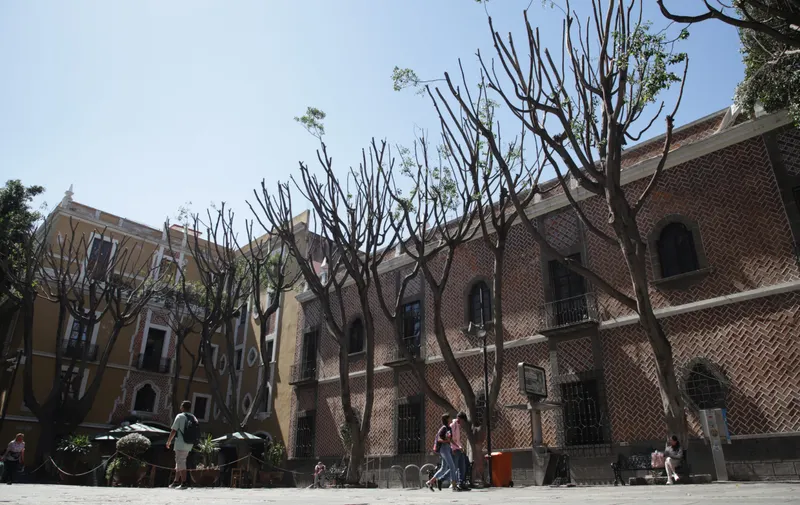 poda de arboles plaza de la Democracia