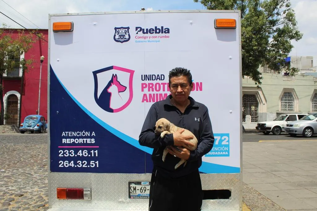 Medio Ambiente Exhorta A Evitar La Compra Venta De Mascotas Con Motivo Del Dia De Reyes