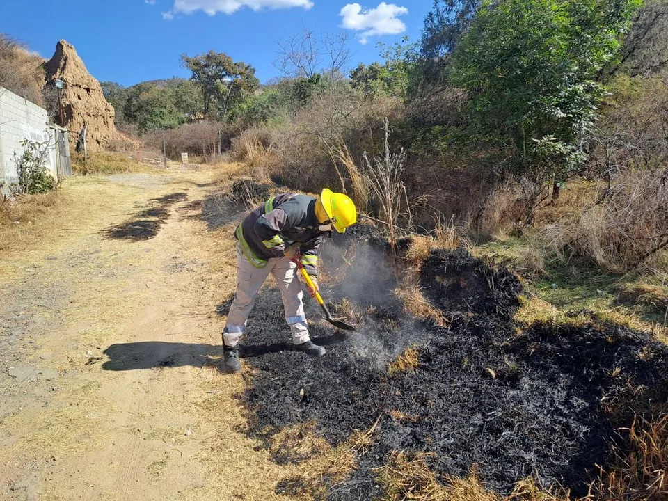Gob Pue Incendios Forestales