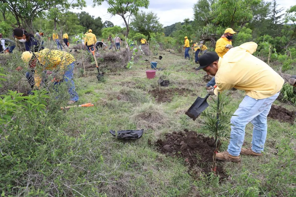 Certifica CONANP a Flor del Bosque como Área de Conservación