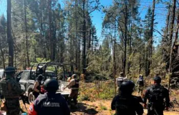 Aseguran más de 90 troncos de madera en operativo interestatal Puebla-Tlaxcala contra la tala ilegal