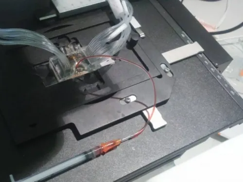IPN diseña microchip para detectar Covid-19 en minutos