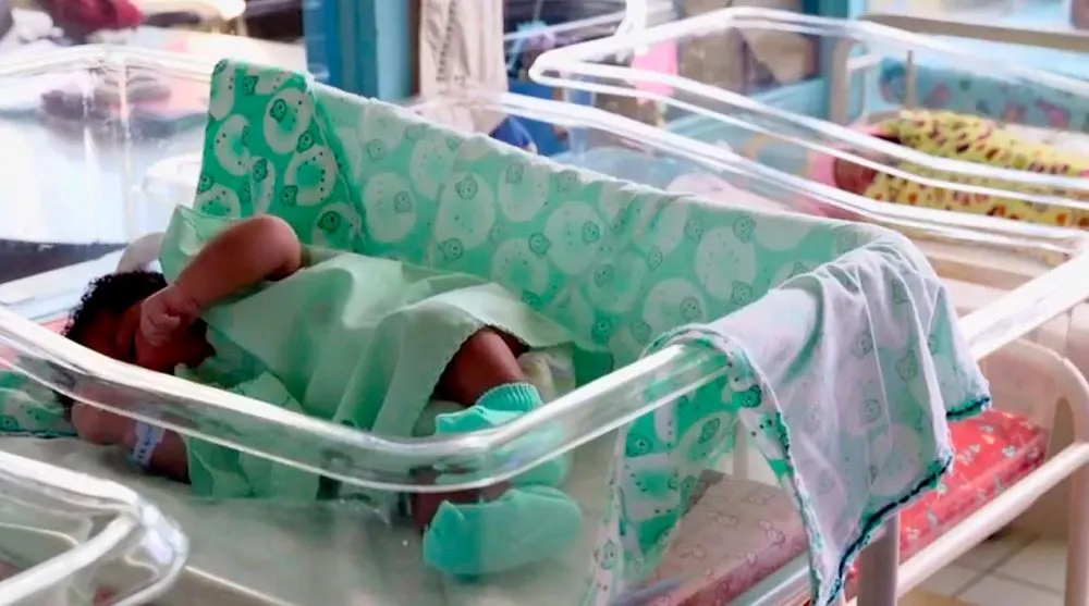 Vacunacion Infantil Bebe Recien Nacido