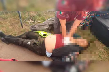 Sicarios matan a comerciante del tianguis de San Pablo Xochimehuacan