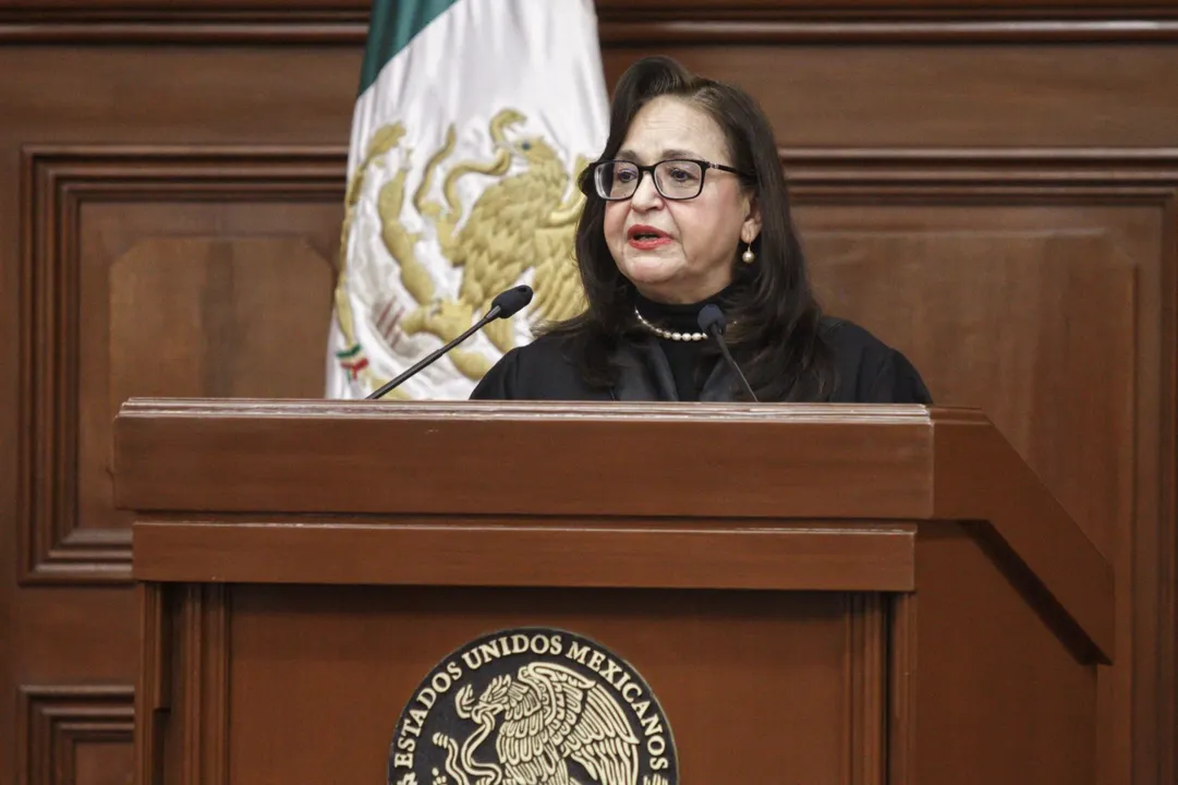 Norma Lucía Piña Hernández