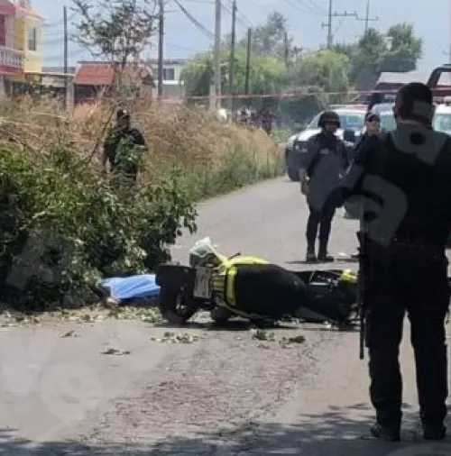 Muere joven aplastada por un árbol en San Salvador El Verde