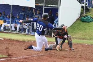 Se enfilan Borregos hacia campeonato en conferencia de beisbol