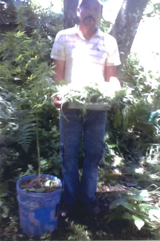 Policías Estatales aseguraron a un presunto narcomenudista con medio kilo de marihuana