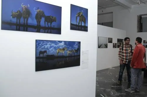 Abrirán la exposición fotográfica periodística World Press Photo
