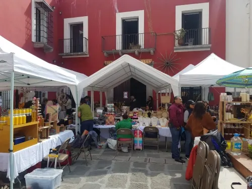 Con programas y convocatorias, Cultura apoya a la comunidad artística