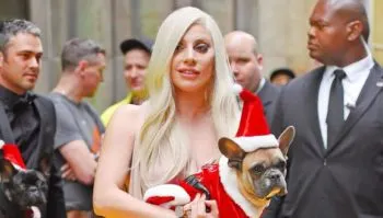 Hombre que robó los perros de Lady Gaga es sentenciado a 21 años de prisión