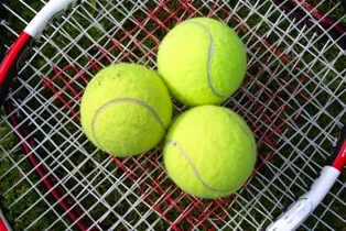 Borregos de tenis listos para entrar en acción