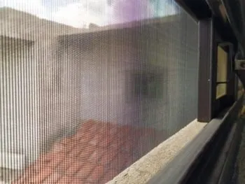 En las últimas 24 horas, no hubo contagios de dengue en Puebla: Salud estatal
