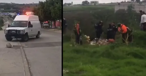 Mujer encontrada en el Río Atoyac fue presuntamente asesinada por su pareja sentimental