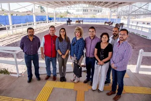 Sistema Municipal DIF coordina acciones con autoridades para garantizar protección equina en CMERI