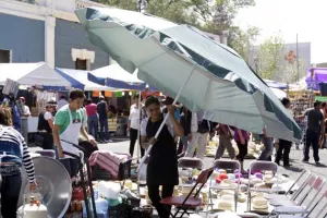 Para prevenir accidentes árboles muertos de El Calvario serán derribados