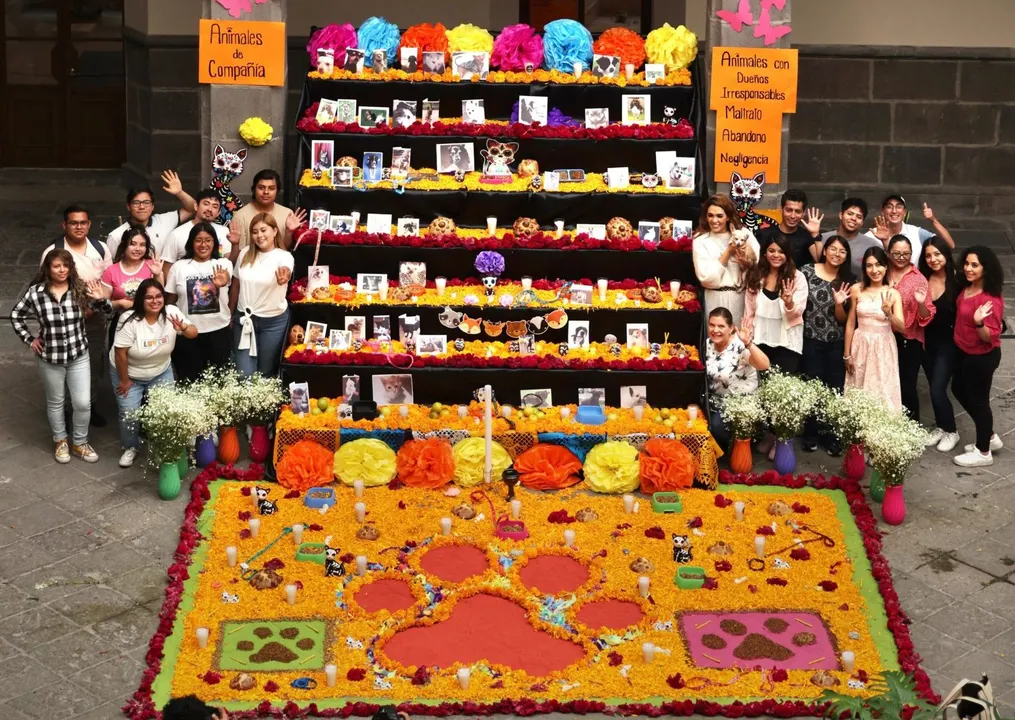 Ofrenda en la Casa de la Transición en honor a los seres sintientes
