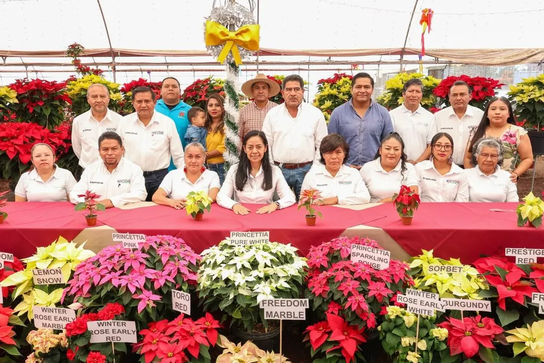 Atlixco Festival De La Nochebuena 25