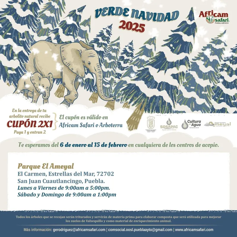 cuautlancingo-verde-navidad