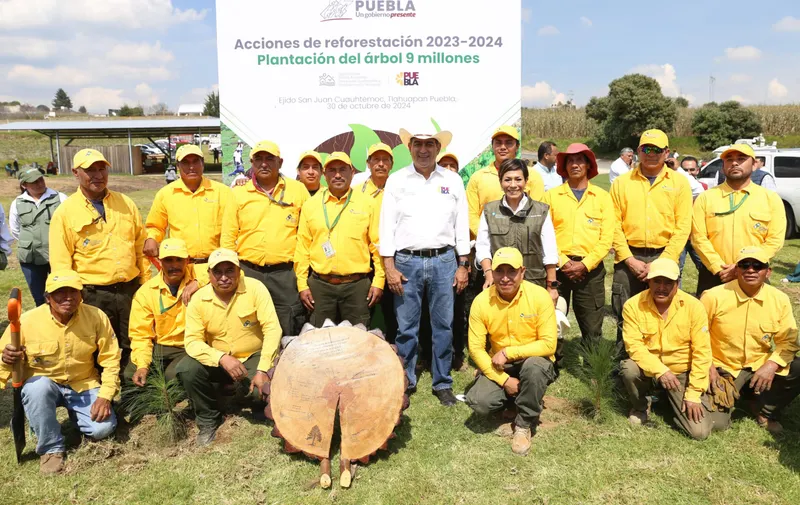 Cumple gobierno estatal meta del plan reforestación