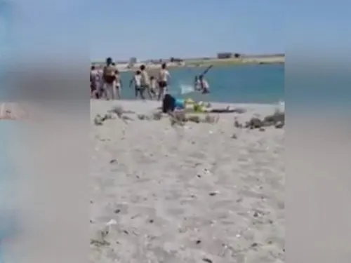 Turistas golpean a foca hasta dejarla inconsciente para tomarse fotos con ella