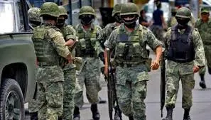Gobierno contratará policías privados y militares para seguridad