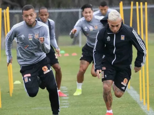 Tigres se va de vacaciones tras cancelación del torneo