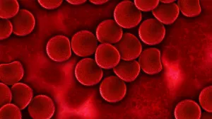 Logran erradicar el VIH por medio de un tratamiento experimental
