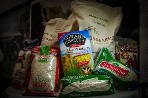 Confirma Senasica origen natural del arroz presuntamente sintético