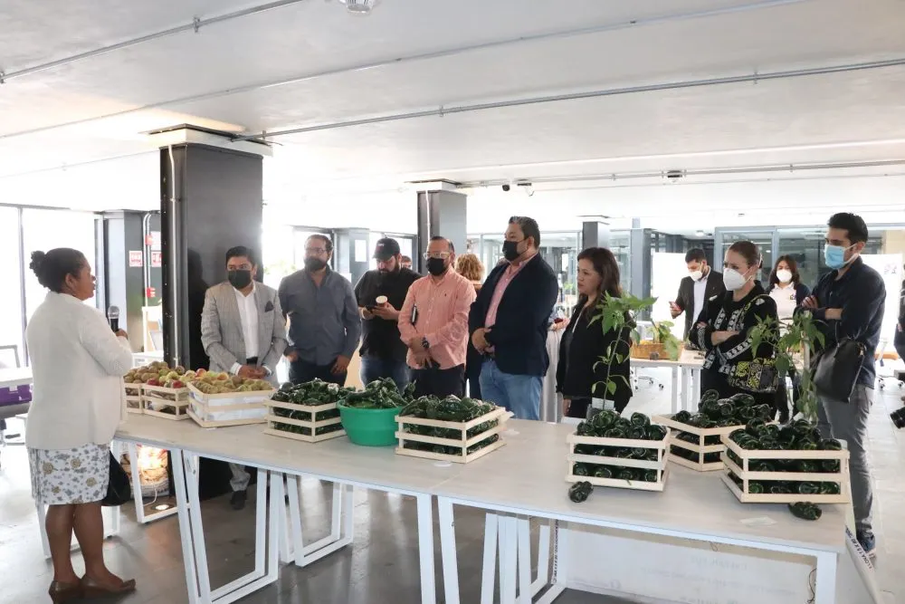 Vinculan SDR y Economía a productores de ingredientes de Chile en Nogada con empresarios