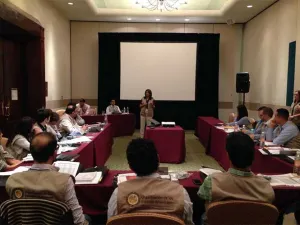 OEA observará elecciones en México
