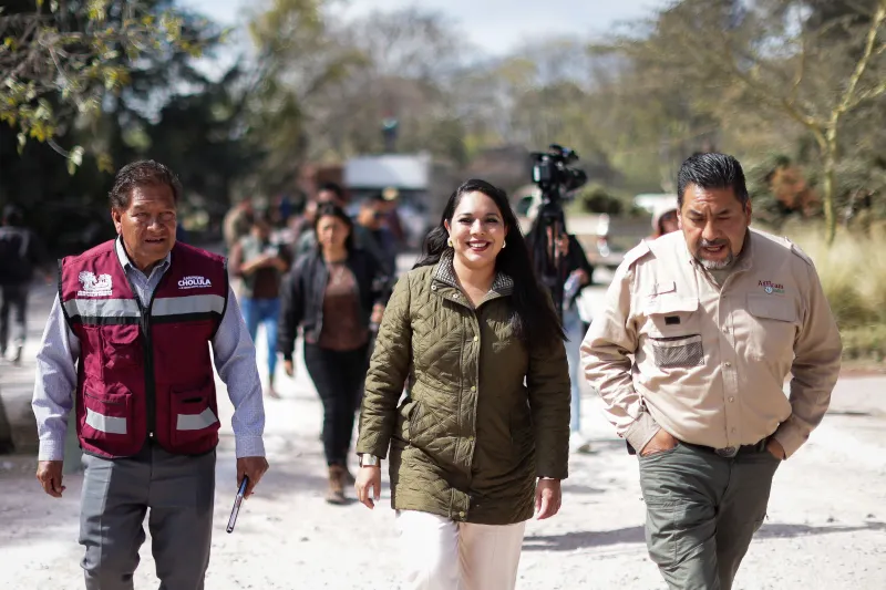 Imagen del artículo