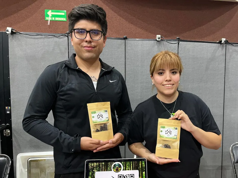 Talentos Ibero Puebla desarrollan suplemento para combatir estrés académico
