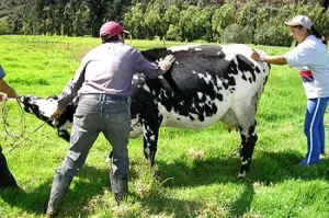 Alcanza Puebla crecimiento del 23.4 por ciento en sector agropecuario