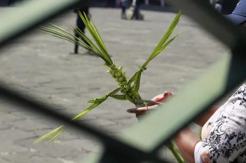 Domingo de ramos se celebrará colocando una rama verde en puerta o ventana