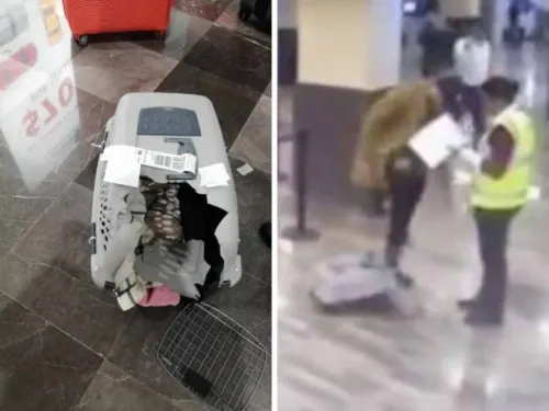 Culpa a Volaris de romper jaula de su perro, hace berrinche y lo exhiben