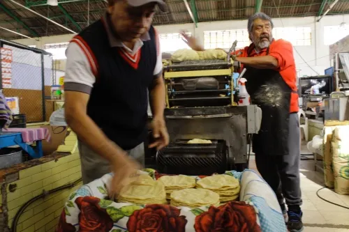 En un año, solo aumentó 15 centavos el precio de tortilla en Puebla: SNIIM