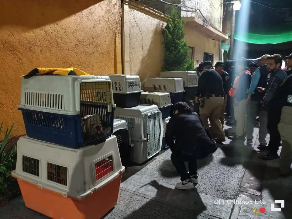 Vigilancia Animal