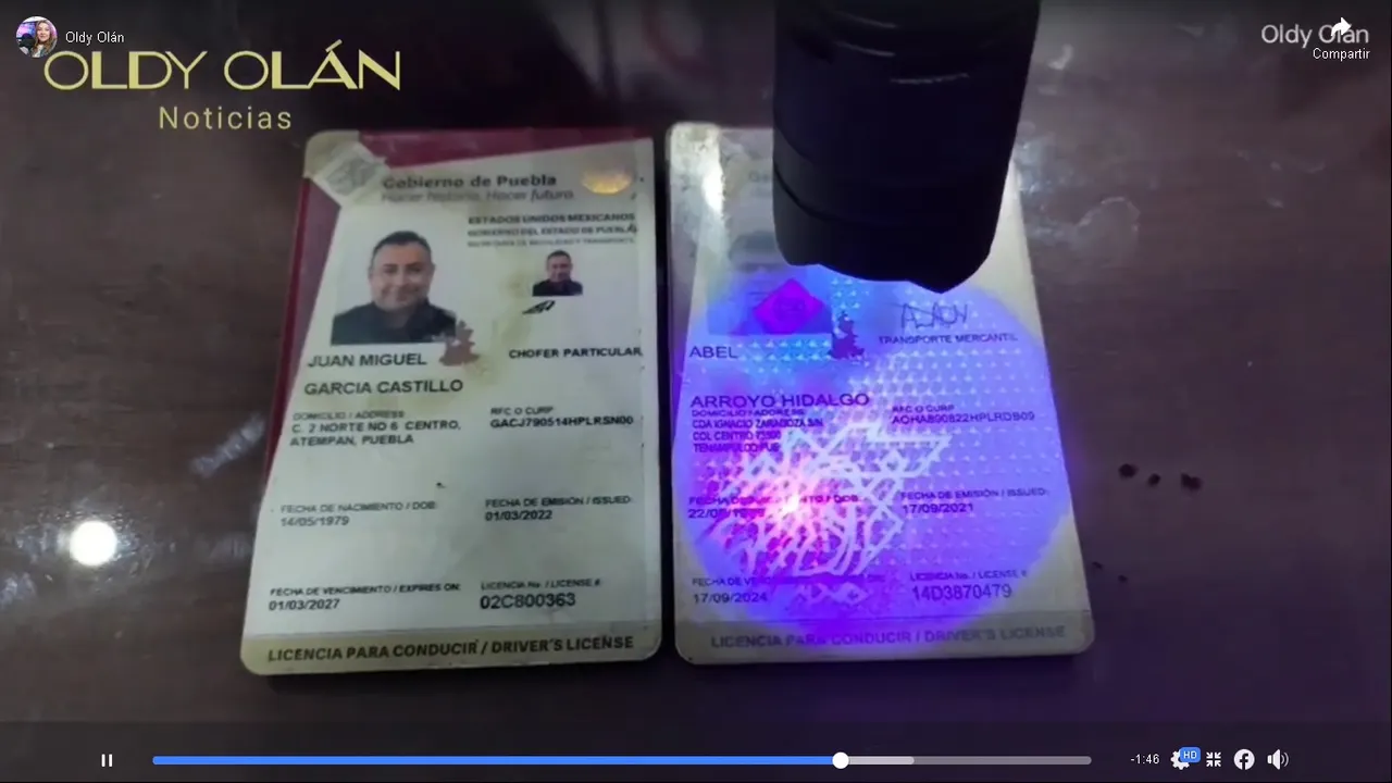 Licencias de conducir falsas