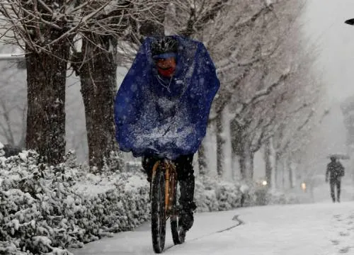 Nieve en Japón deja 182 heridos y vuelos cancelados