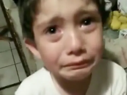 Niño mata sin querer a hormiguita, su reacción es adorable