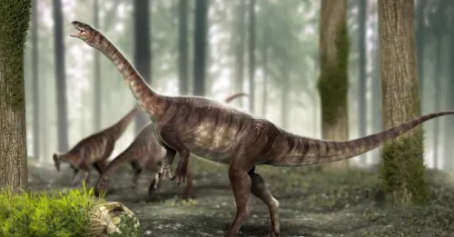 Descubren en Brasil al dinosaurio más antiguo del mundo