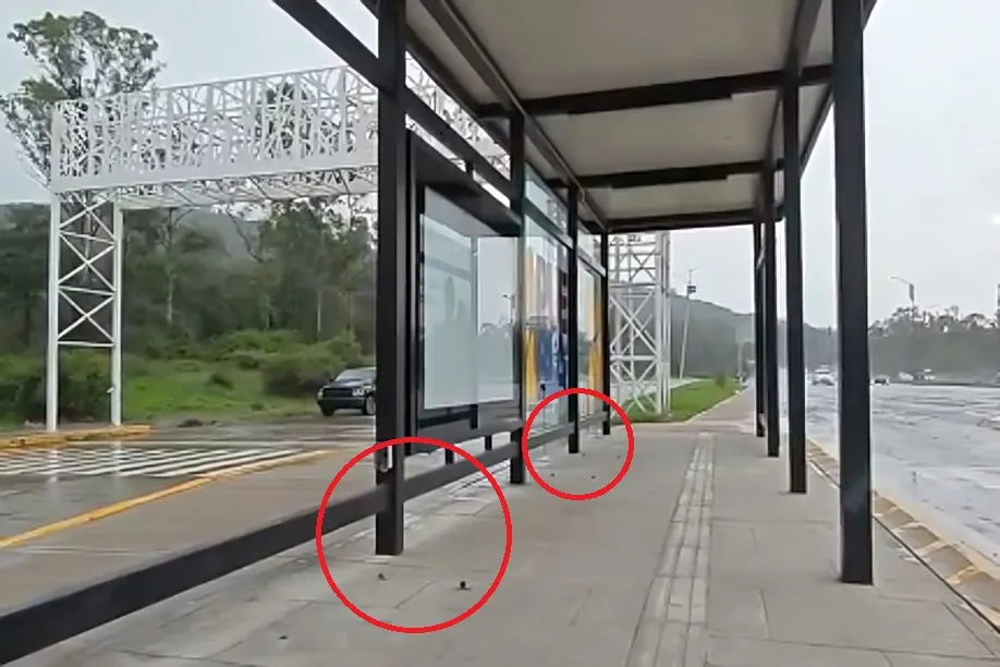 Robo Bancas Ruta Paradero Flor Del Bosque