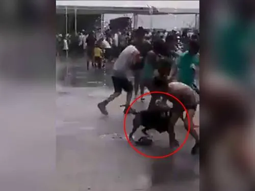 Video: Pitbull ataca a niña en fuente de la delegación Iztacalco