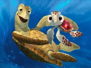 Tortugas