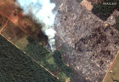 Amnistía responsabiliza a Bolsonaro por incendios en la Amazonia