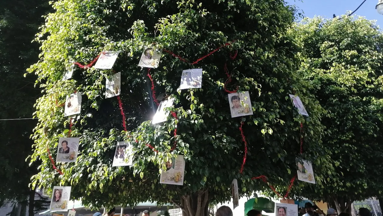 árbol de la esperanza