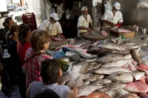 Nuevo mercado de pescados no remplazará comercio en la 16 Poniente