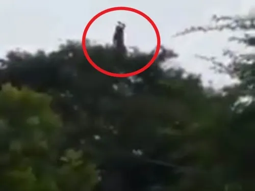 Captan a la ‘Llorona’ en Colombia; causa terror en redes