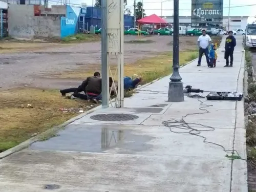 Rescatan a 7 cachorros de una boca de tormenta